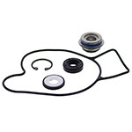 VERTEX WATER PUMP REBUILD KIT