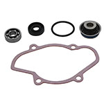VERTEX WATER PUMP REBUILD KIT
