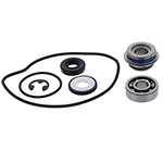 VERTEX WATER PUMP REBUILD KIT