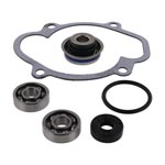 Vertex Water Pump Rebuild Kit