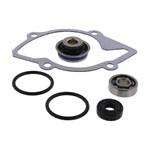 Vertex Water Pump Rebuild Kit