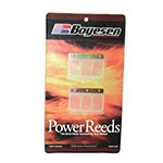 BOYESEN MOTORCYCLE POWER REED