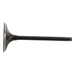 Hot Cams Valve Intake Steel