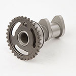 Hot Cams Camshaft Intake