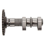 Hot Cams Camshaft Intake