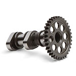 Hot Cams Camshaft Intake