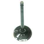 BRONCO ATV/UTV VALVE EXHAUST
