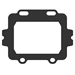 V-FORCE PWC GASKET