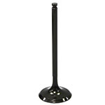BRONCO INTAKE VALVE