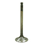 BRONCO ATV/UTV INTAKE VALVE