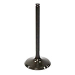 PSYCHIC EXHAUST VALVE
