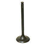 PSYCHIC EXHAUST VALVE