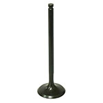 PSYCHIC EXHAUST VALVE