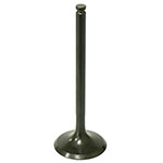 PSYCHIC EXHAUST VALVE