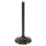 PSYCHIC INTAKE VALVE