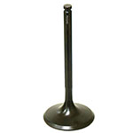 PSYCHIC INTAKE VALVE