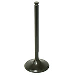 PSYCHIC INTAKE VALVE