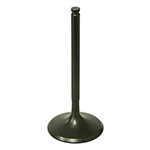 PSYCHIC INTAKE VALVE