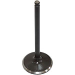 PSYCHIC INTAKE VALVE