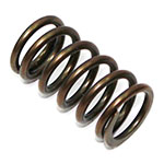 PSYCHIC INTAKE/EXHAUST VALVE SPRING