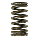PSYCHIC EXHAUST VALVE SPRING
