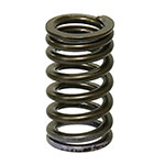 PSYCHIC EXHAUST VALVE SPRING