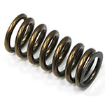 PSYCHIC INTAKE VALVE SPRING