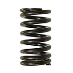 PSYCHIC INTAKE VALVE SPRING