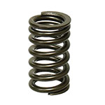 PSYCHIC INTAKE VALVE SPRING