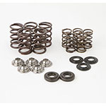 Hot Cams Valve Spring Kit