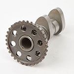 Hot Cams Camshaft Intake