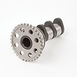 Hot Cams Camshaft Intake