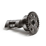 Hot Cams Camshaft Intake