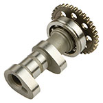 Hot Cams Camshaft Intake
