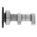 Hot Cams Camshaft Intake