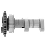 Hot Cams Camshaft Exhaust