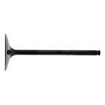 Hot Cams Valve Intake Steel