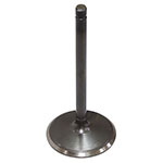 BRONCO ATV/UTV INTAKE VALVE