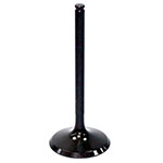 PSYCHIC EXHAUST VALVE