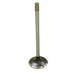 PSYCHIC EXHAUST VALVE