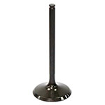 PSYCHIC INTAKE VALVE