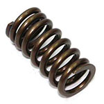 PSYCHIC EXHAUST VALVE SPRING