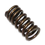 PSYCHIC EXHAUST VALVE SPRING