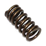 PSYCHIC EXHAUST VALVE SPRING