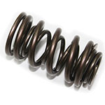 PSYCHIC EXHAUST VALVE SPRING