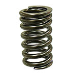 PSYCHIC INTAKE/EXHAUST VALVE SPRING