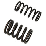 PSYCHIC INTAKE VALVE SPRING
