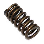 PSYCHIC INTAKE VALVE SPRING