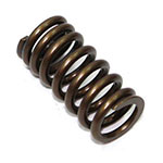PSYCHIC INTAKE VALVE SPRING