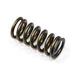 PSYCHIC INTAKE VALVE SPRING